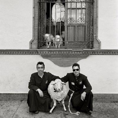 Noticias